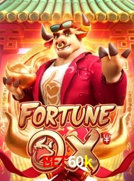 BET60K.COM